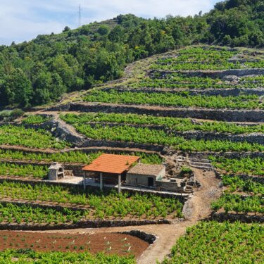 From Dubrovnik to Split with Ston, Winery Tour | Travel with a local driver