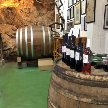 Dubrovnik to Pelješac Wine Tour | Croatia Private Driver Guide