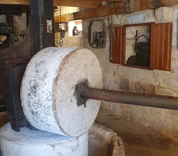 Split to Brač Private Day Trip | Tradition of Olive Oil making on island Brač