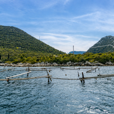 Split to Dubrovnik Private Transfer | Ston Wine & Oysters Tour