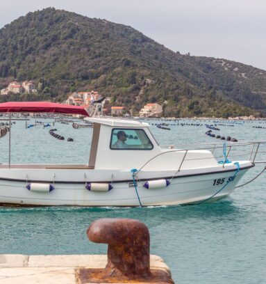 Split to Dubrovnik Private Transfer, Wine & Oysters