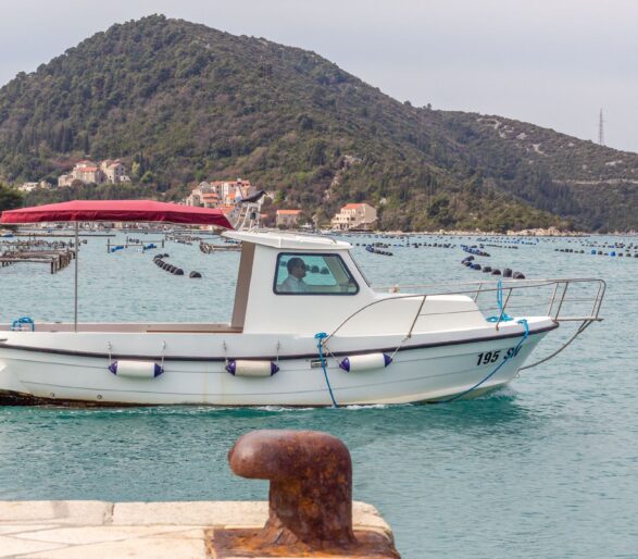 Split to Dubrovnik Private Transfer | Wine & Oysters Tour